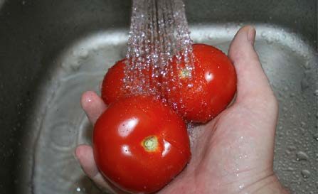Three red round tomatoes being washed under clean, running water. Photo Credit Flickr