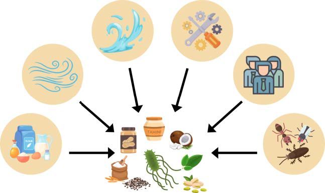 An image showing a bacterium surrounded by examples of low water activity food products. Routes of contamination of those products is shown by raw materials, air, water, equipment and tools, personnel, and pests.