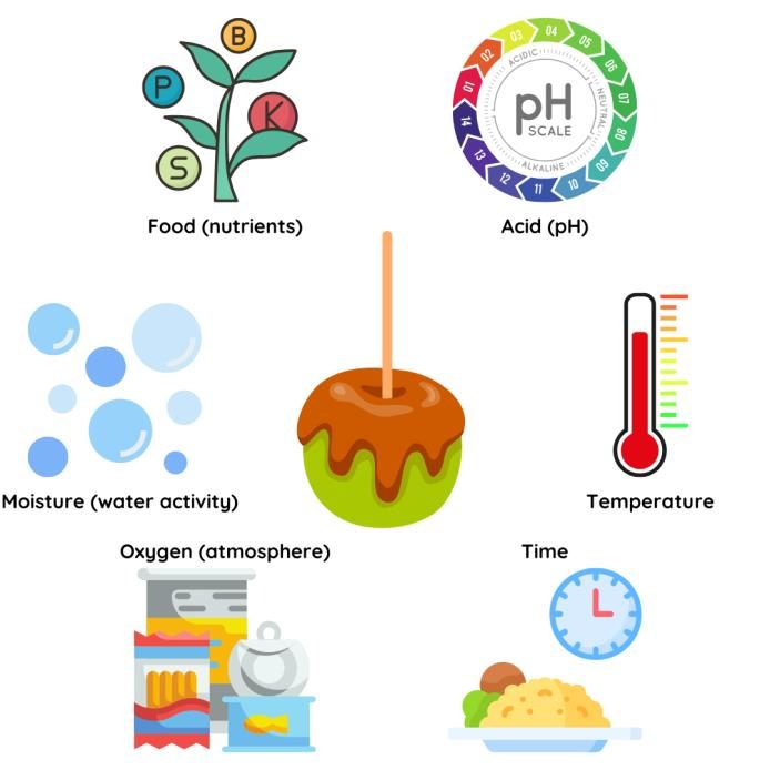 Visual representation of the six primary growth factors surrounding a caramel apple. The six primary growth factors are food (nutrients), acid (pH), temperature, time, oxygen (atmosphere), and moisture (water activity).