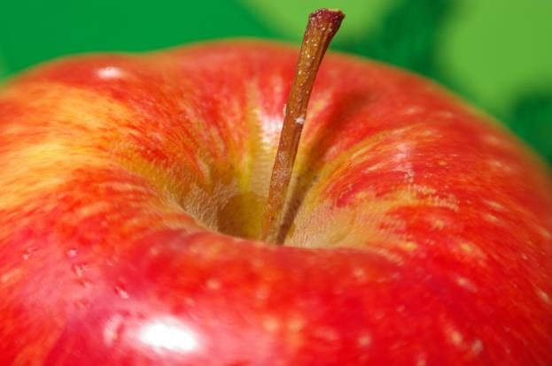 An red apple with stem bowl area featured.