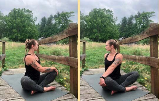 Seated Twist Pose