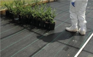a photo of a person and plants on a weed mat