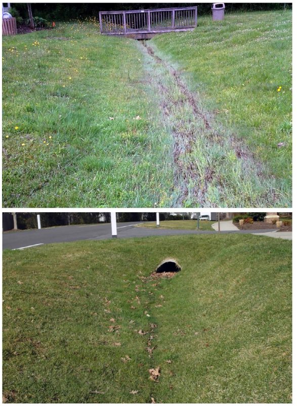 Two images depicting a grassy section of land with a trench bisecting the land, one image the trench goes through a tunnel and under a road, the other goes under a small wooden pedestrian walkway.