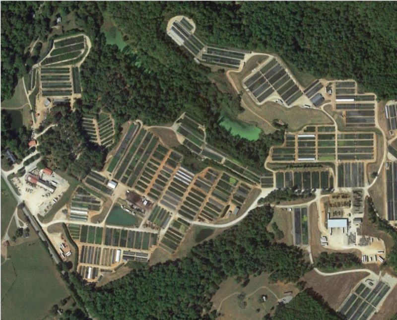 Satellite image of Saunders Brothers, Inc. container nursery from Google Earth. 