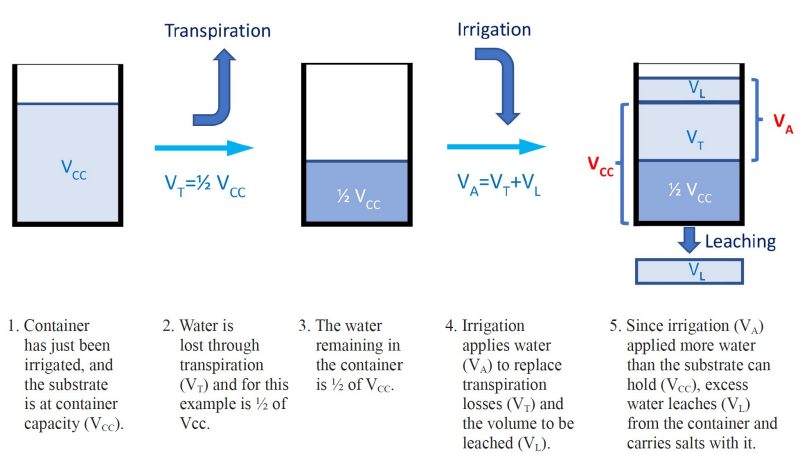 1. Container has just been irrigated, and the substrate is at container capacity (VCC). 2. Water is lost through transpiration (VT) and for this example is ½ of Vcc. 3. The water remaining in the container is ½ of VCC. 4. Irrigation applies water (VA) to replace transpiration losses (VT) and the volume to be leached (VL). 5. Since irrigation (VA) applied more water than the substrate can hold (VCC), excess water leaches (VL) from the container and carries salts with it.