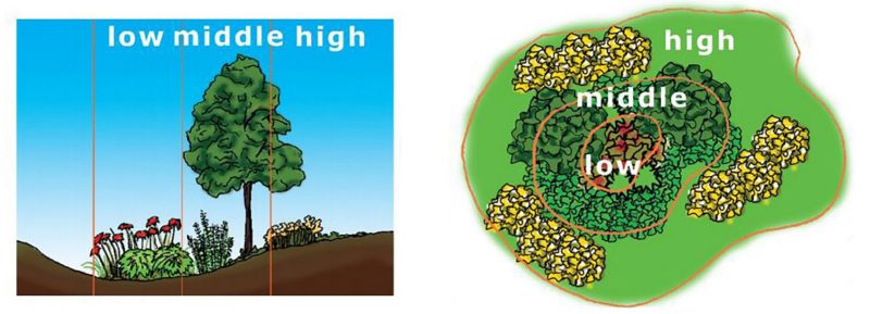 Two stylized renderings of rain gardens. The first depicts low, middle, high where in there is a low patch with flowers, and a tree with other plants in the middle part. The second is an aerial view of a green circular patch containing also high, middle, and low. The low is in the center with plants, the middle is concentrically around the low, and the high is concentrically around the middle.