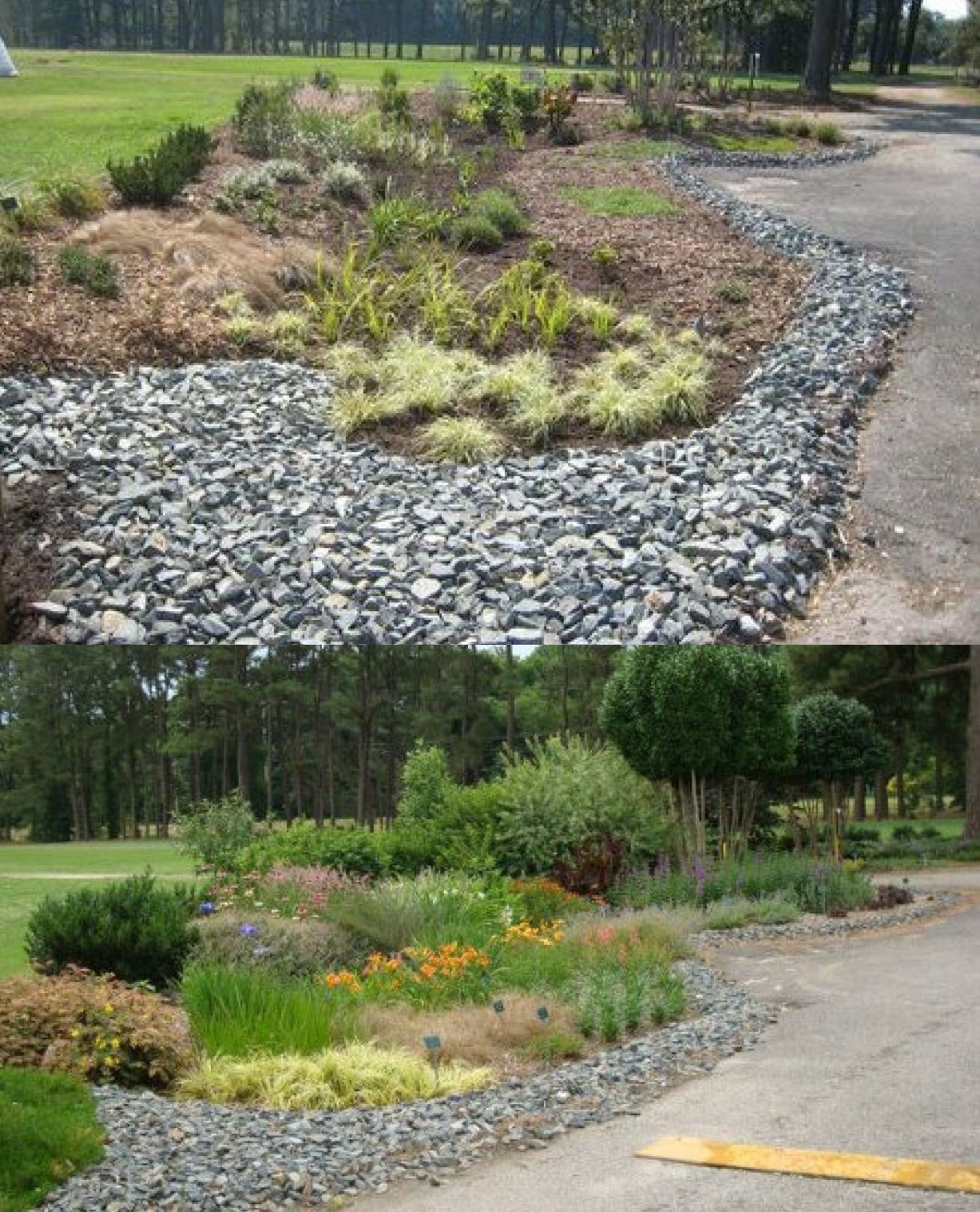 Top, newly planted rain garden; bottom, after three years.