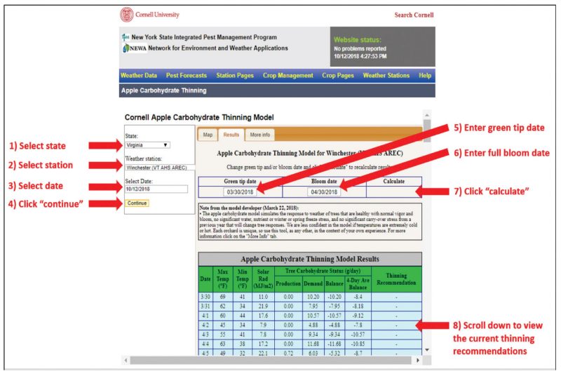 Steps for the using the carbohydrate thinning model.