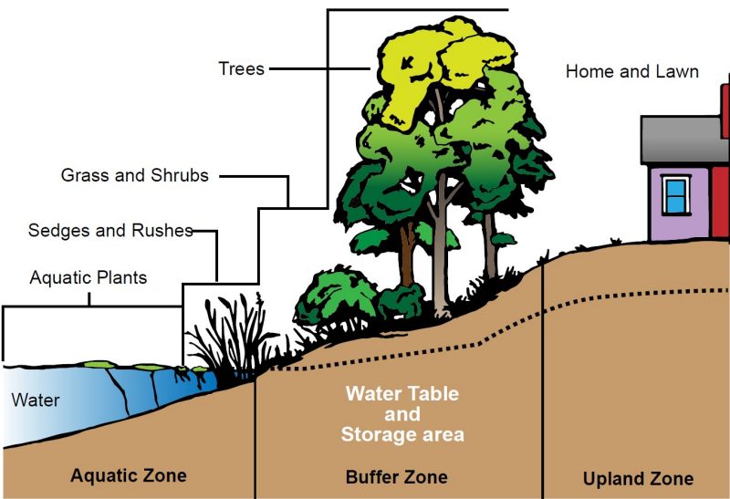 Cross section of a buffer.