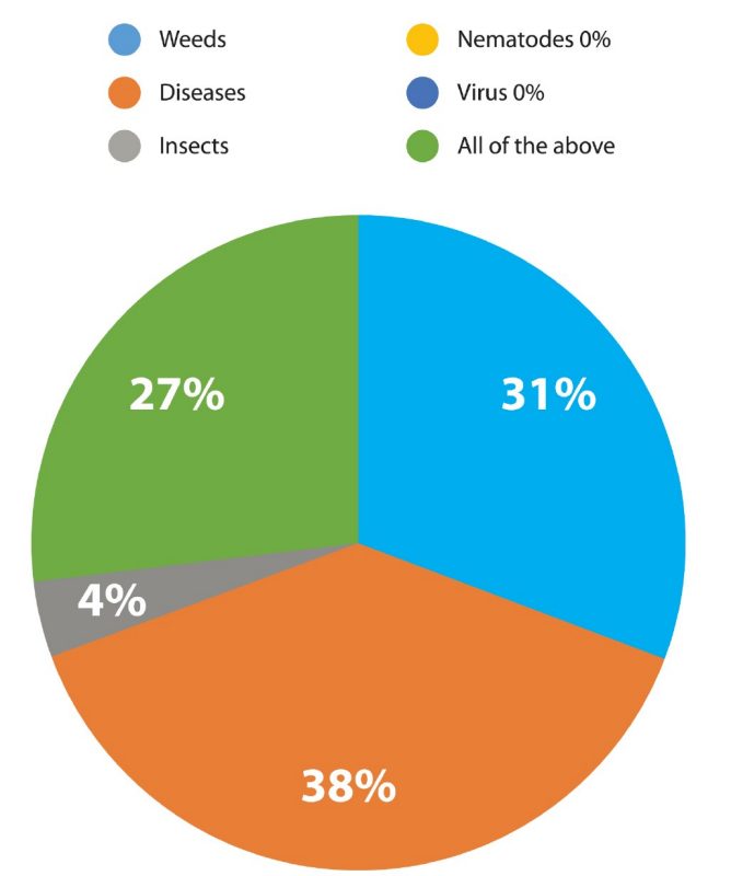 Pie chart. Four percent perceive insects, thirty-one percent weeds, thirty-eight percent diseases, twenty-seven percent perceive all - weeds, diseases, insects, viruses, and nematodes.