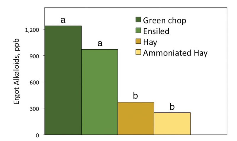 Total ergot alkaloid concentrations can vary by conservation method. Fescue in this study (Roberts, Kallenbach, and Hill 2002) was cut and analyzed after freeze-drying, ensiling, sun curing for hay, and ammoniating (after curing). Alkaloid levels decline substantially during the curing process but may be maintained with ensiling.
