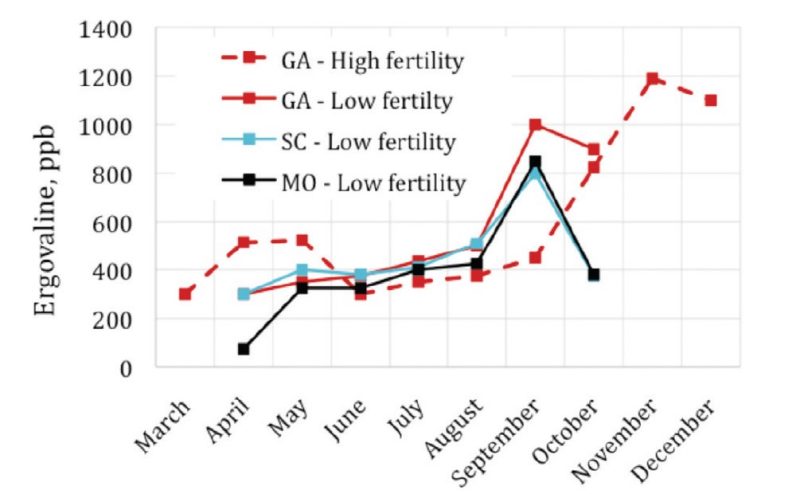 Fescue alkaloid (ergovaline) concentrations presented in this figure are informative about seasonal variation and management. Fescue alkaloids typically rise and fall with plant productivity, and the response is affected by fertility and plant part. Seed heads were controlled in the low fertility studies; otherwise, alkaloid concentrations have a peak in spring, followed by summer depression and another peak in fall. After reaching a peak, ergot alkaloids dropped at all sites in fall following a series of hard freezes.