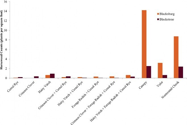 Bar graph showing that all cover crop treatments used in the trial in both Blacksburg and Blackstone suppressed horseweed to less than one plant per square foot, with the hairy vetch treatment faring slightly worse. In all cases, cover crop treatments suppressed horseweed on a much greater scale than either herbicide treatment or no treatment at all.