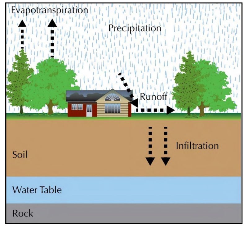 A graphic showing a simplified hydrologic cycle of a residential lot. When precipitation falls it can move three ways. First, it can move back into the atmosphere through evapotranspiration through plants, especially trees. Precipitation can run off of impervious surfaces like roofs, and it can infiltrate into the soil, moving downward to recharge ground water sources. Modified from Source: What is a Watershed? Virginia Cooperative Extension Publication 426-041.