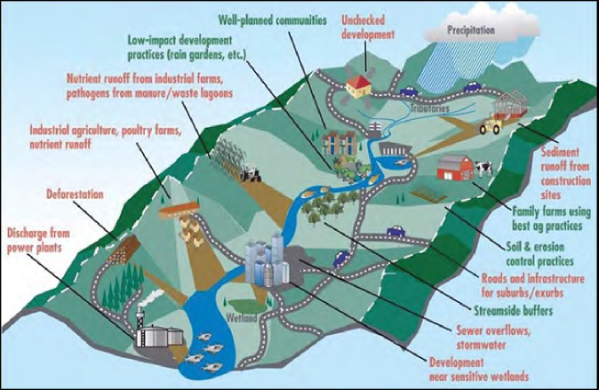 A graphic showing a watershed - an area of land that drains to a point, and influencing factors. Positive factors include: well-planned communities, low impact development (LID) practices like rain gardens, farms using best ag practices, soil and erosion control practices, and streamside buffers. Negative factors include: unchecked development, nutrient runoff from industrial, agricultural, and urban sources, sediment runoff from construction sites, sewer overflows, development of wetlands, deforestation, and discharge from power plants. Source: Potomac Conservancy 2007.