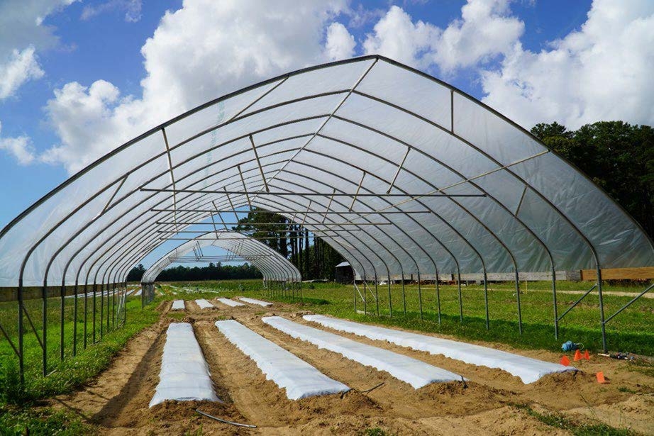 photo of High tunnel structures
