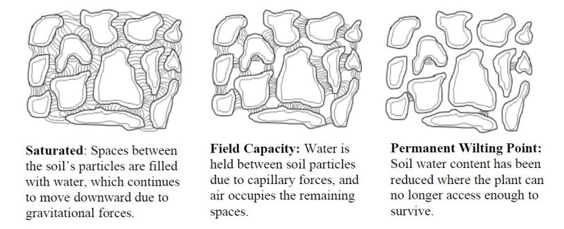 Figure 4. Diagrams showing the interactions of soil particles and water under three soil moisture states: saturated, field capacity, and permanent wilting point.