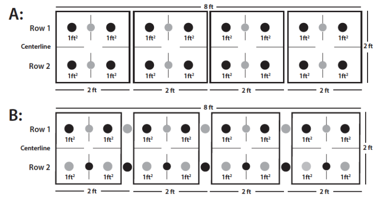 Two diagrams each illustrating a set of four 2-foot-by-2-foot planting areas. In the first, planting locations are placed evenly across from each other; in the second, primary planting locations are staggered.