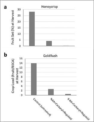 Trees of ‘Honeycrisp’ and ‘GoldRush’ were treated with a mixture of Maxcel + Carbaryl + Regulaid or PoMaxa + Carbaryl + Regulaid at petal all and at fruit size (~10mm). The time of application was determined by the Carbohydrate thinning model on NEWA. Fruit set (%) was calcuated based on an intial number of 100 fruit/tree. Crop load was determined based on the number of fruit/1 cm2  of branch cross sectional area (BCSA).