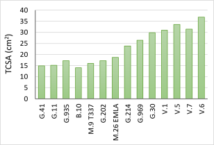 Trunk cross sectional area (cm2) of 14 different apple rootstocks in 2021, eight years after planting.