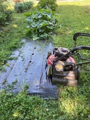 Photo 2. A mower extends over the edge of a woven poly raised bed completely cutting the vegetation along the edge