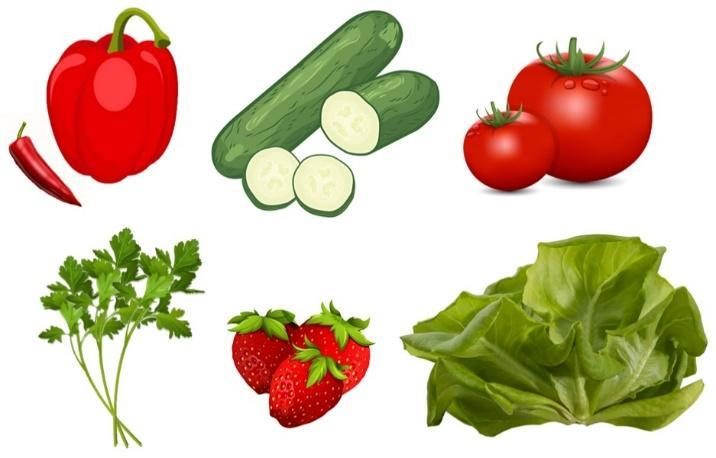 Figure 1. Image of red pepper, chile, cucumber, tomato, cilantro, strawberries, and leaf lettuce.