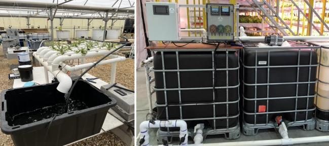 Figure 4. Two photos of nutrient reservoirs. The left photo shows a large plastic bin that holds the solution; the right photo shows two large IBCs (intermediate bulk containers) plumbed into the NFT system and connected to control boxes.