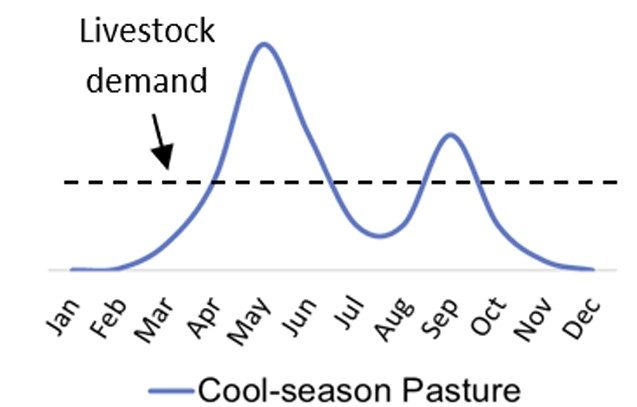 Line graph of grass growth throughout the year, highlighting the major flush of spring grass production.