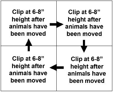 Diagram of one approach to clipping pastures.