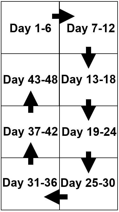 Diagram showing calendar of normal summer/fall rotation.