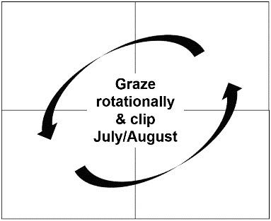 Diagram of one approach to clipping pastures.