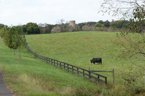  Figure 1. Minimizing feed costs by grazing more days is a yearly objective for the Wilbanks Farm.