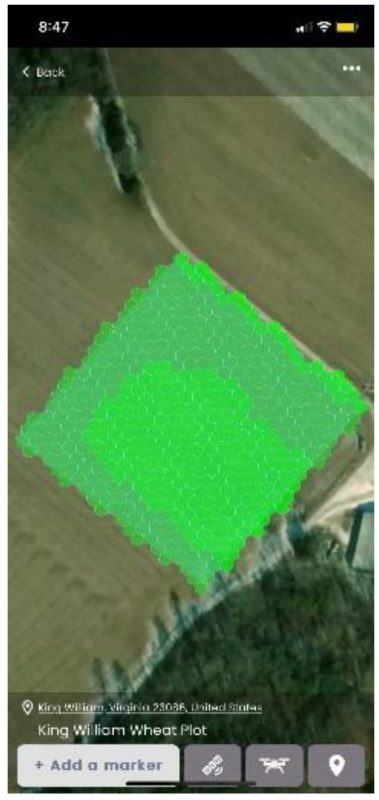 A satellite-based NDVI zone map in green color