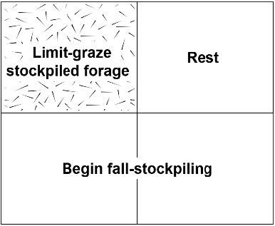 A square divided into four equal square sections. One section is marked with “limit graze stockpiled forage”, one section is marked with “rest”, and the other two sections are marked with “begin fall stockpiling”.