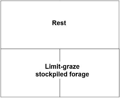 A square divided into four equal square sections. Two sections are marked with “rest” and the other two sections are marked with “limit graze stockpiled forage”.