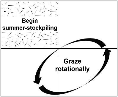 A square divided into four equal square sections. One section is marked with “begin summer stockpiling” and the other three sections are marked with “graze rotationally”.