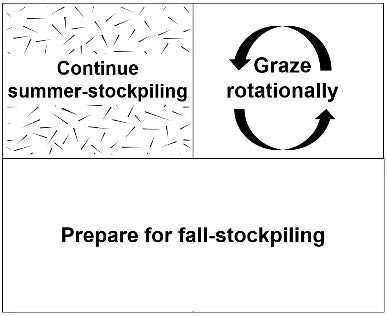 A square divided into four equal square sections. One section is marked with “continue summer stockpiling”, one section is marked with “graze rotationally”, and the other two sections are marked with “prepare for fall stockpiling”.