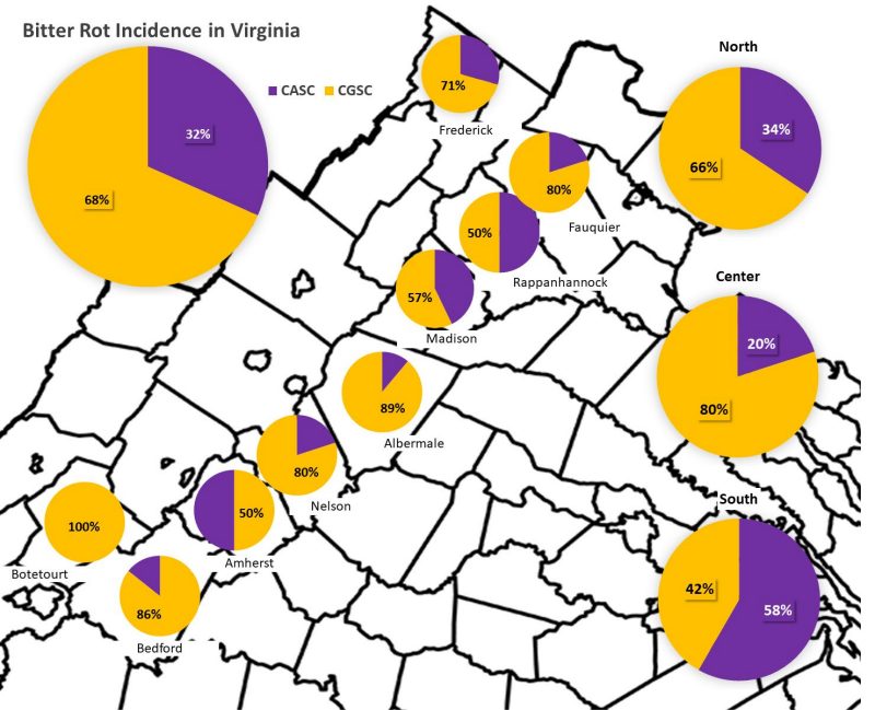 A map of northern Virginia’s counties with pie charts for the nine counties where bitter rot has been identified. Each pie chart indicates the ratio of CGSC to CASC groups. Three other pie charts indicate the incidence of bitter rot in the north, central, and southern portions of the commonwealth.