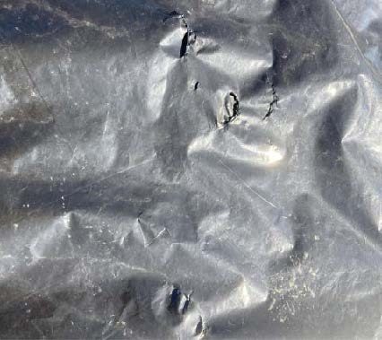 A picture containing a torn UV-treated occultation silage tarp that has been torn up by deer.