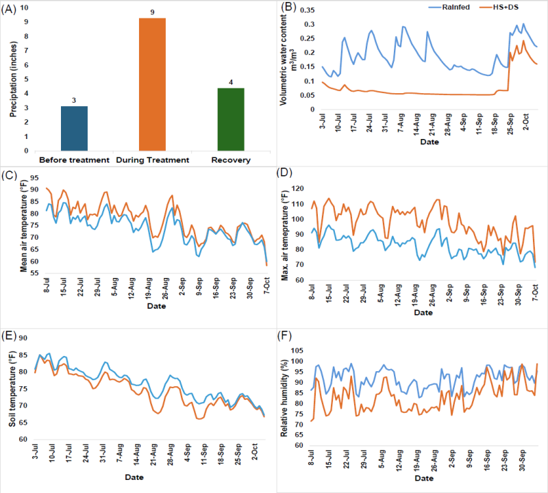 Figure 2. Weather data including precipitation (A), soil volumetric water content monitored at ~7-inch depth (B), mean air temperature (C), maximum air temperature (D), soil temperature (E), and relative humidity (F).