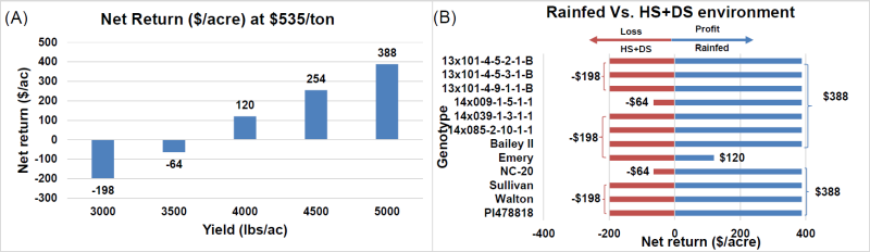 Figure 4.Return to land, overhead, and management @ net return of 535$/ton with assumed total production cost of 1000$/ac (Source: Situation and Outlook by Jeffrey H. Dorfman, Professor and Extension Economist, Department of Agricultural and Resource Economics, NCSU) (A) and predicted net returns ($/ac) on cultivar basis across rainfed vs. HS+DS environment (B).