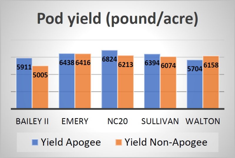 Figure 6. The yield of five peanut cultivars was overall increased by prohexadione calcium (Apogee®) applied at 50% vine touching in 2023.