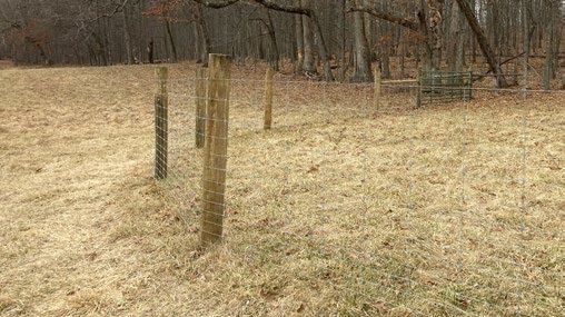 A curved woven wire cattle fence leading to a gate at the corner of two pastures.