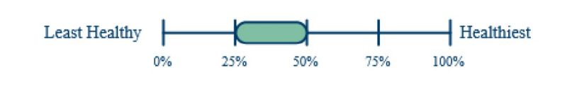 Figure 1: Washington County Health Outcomes (County Health Rankings).