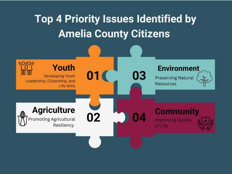 Top 4 Priority Issues Identified by Amelia County Citizens: Youth Leadership, Citizenship, and Life Skills; Promoting Agricultural Resiliency; Preserving Natural Resources; Improving Quality of Life;